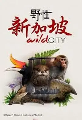 《野性新加坡》:探索狮城秘境,领略自然奇观!